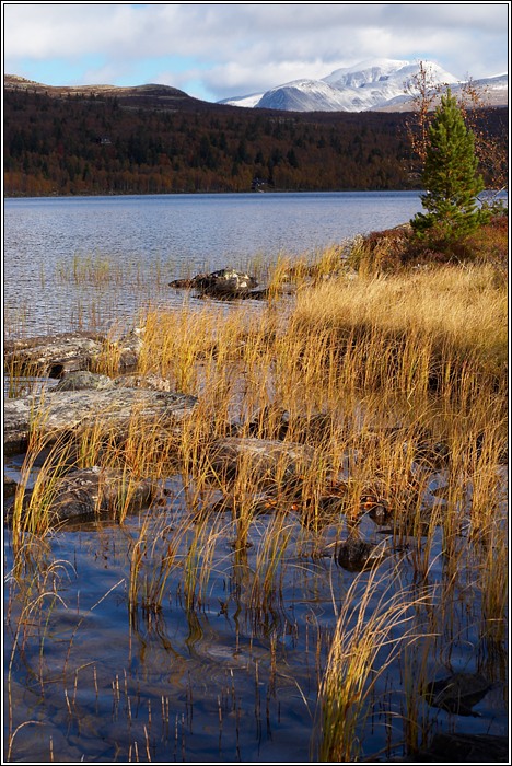 Rondane 65