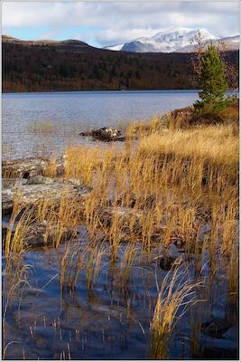 Rondane 65