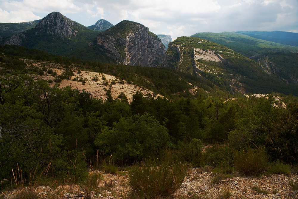 Provence 4