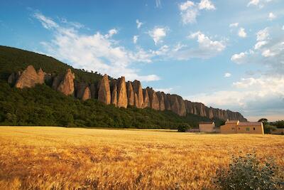 Provence 16