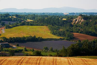 Provence 19
