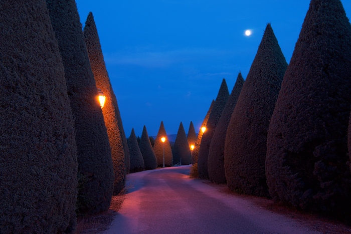 Provence 40