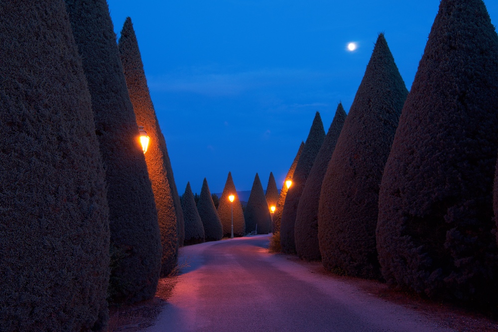 Provence 40