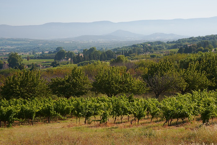 Provence 41