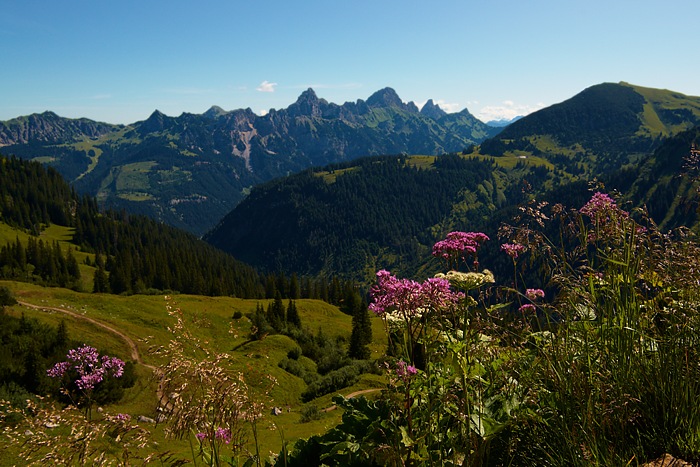 Allgäuer Alpen 4