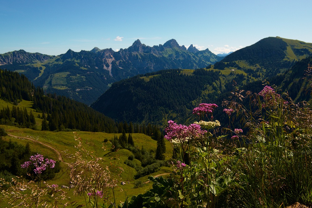 Allgäuer Alpen 4