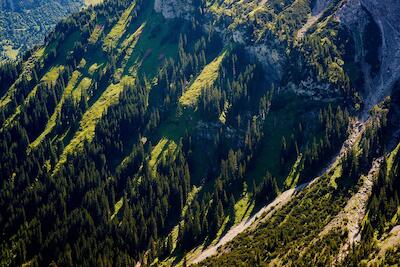 Allgäuer Alpen 6
