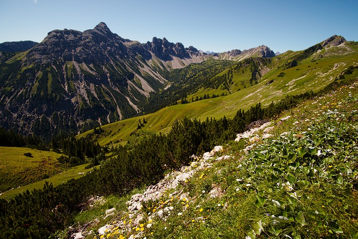 Allgäuer Alpen 8