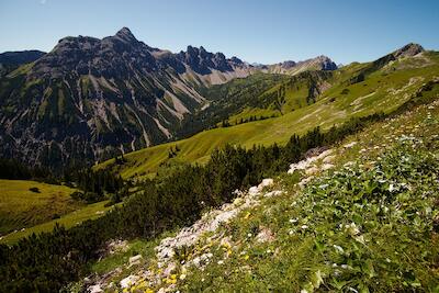 Allgäuer Alpen 8
