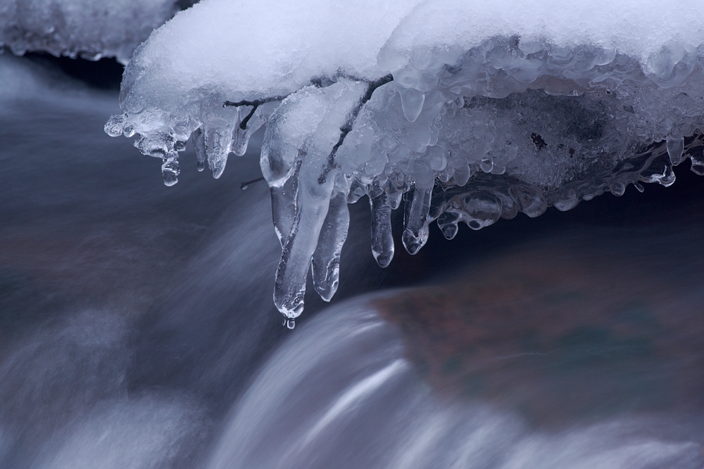 Winterimpression