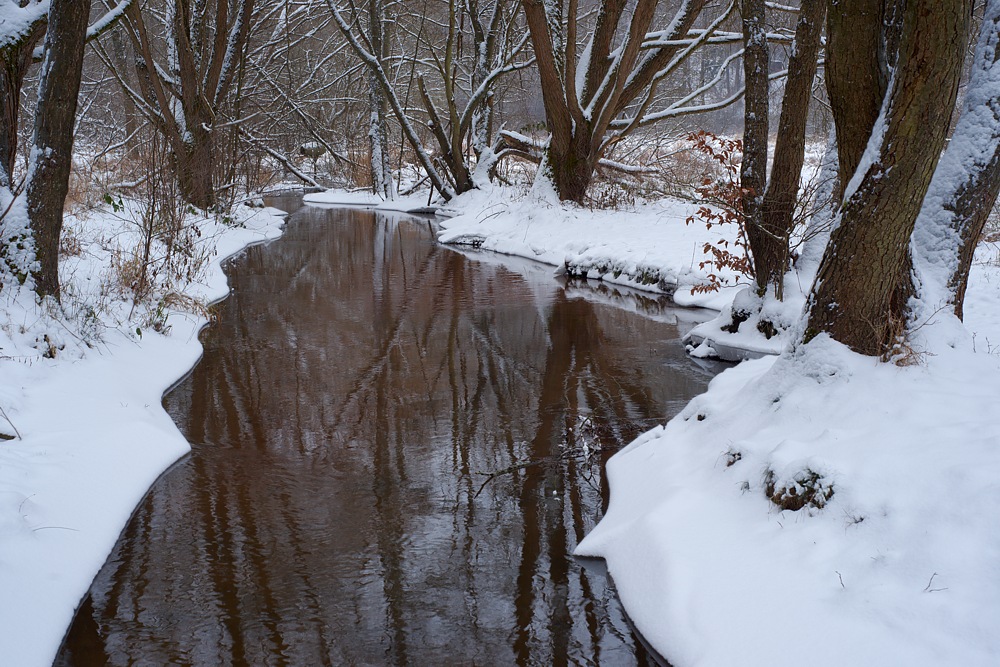 Winterlicher Bach