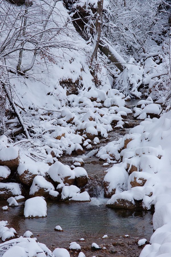 Winter im Allgäu 2