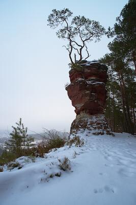 Dahner Felsenland - Lämmerfelsen