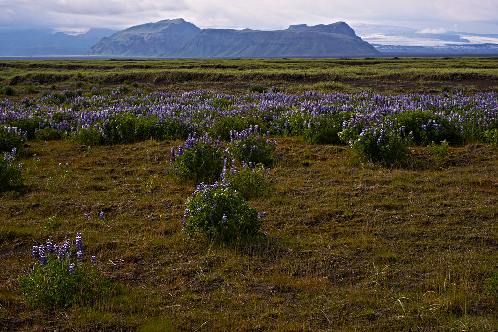 Island - Mýrdalsjökull