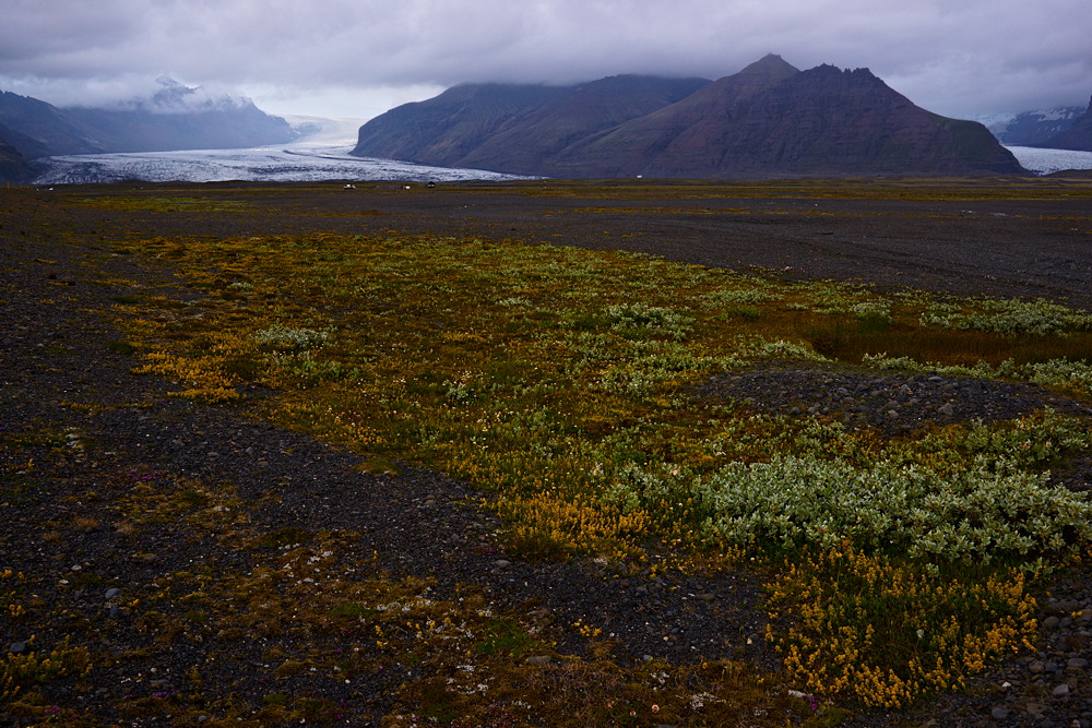 Island - Skaftafell II