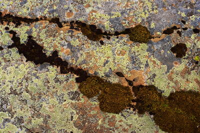 Island - Felsdetails II