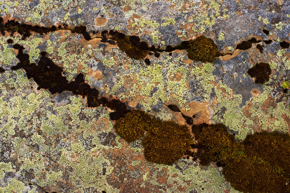 Island - Felsdetails II