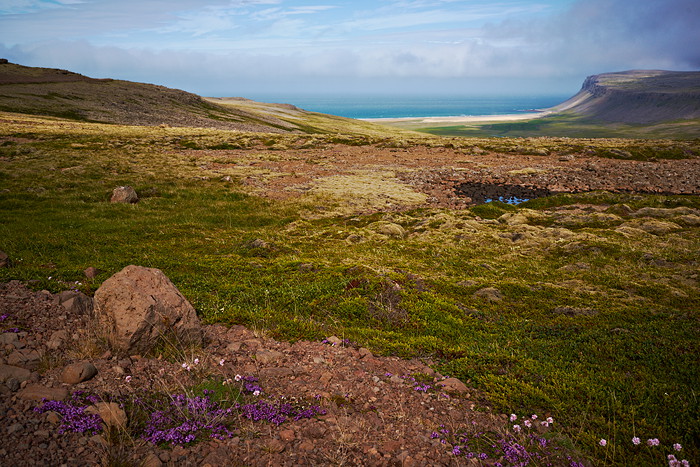 Island - Breiðavík II