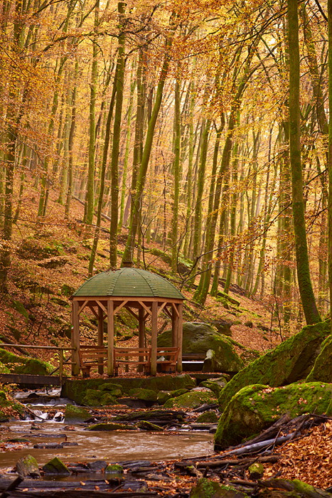 Karlstalschlucht II