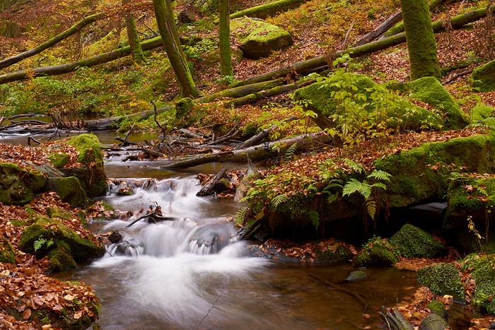 Karlstalschlucht IV