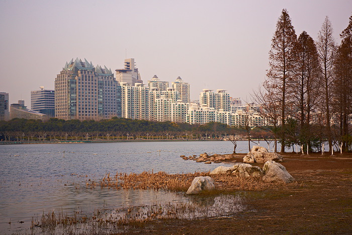Shanghai 14