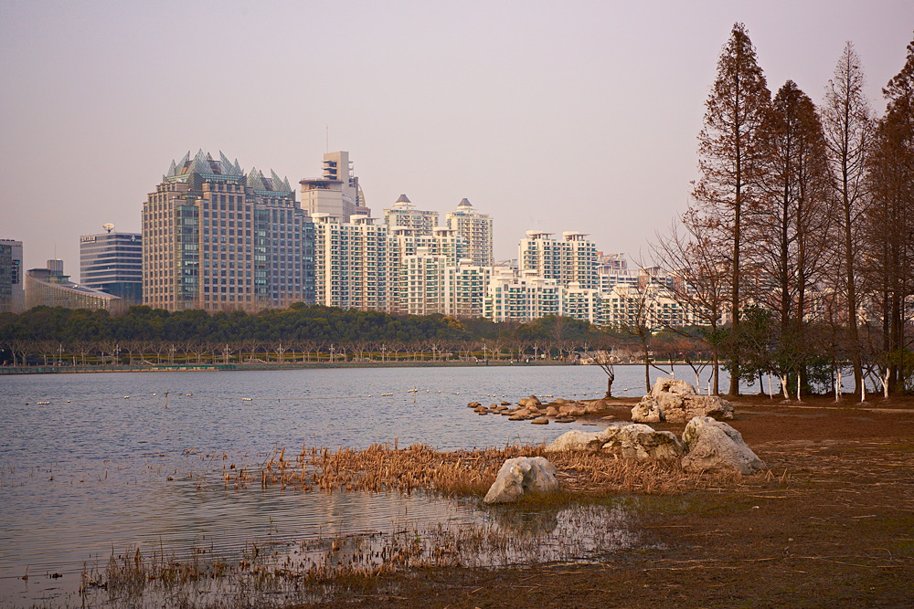 Shanghai 14