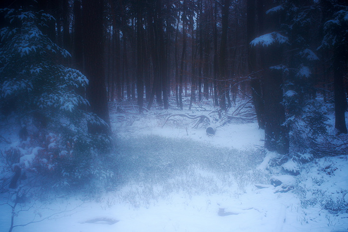 Winterimpression