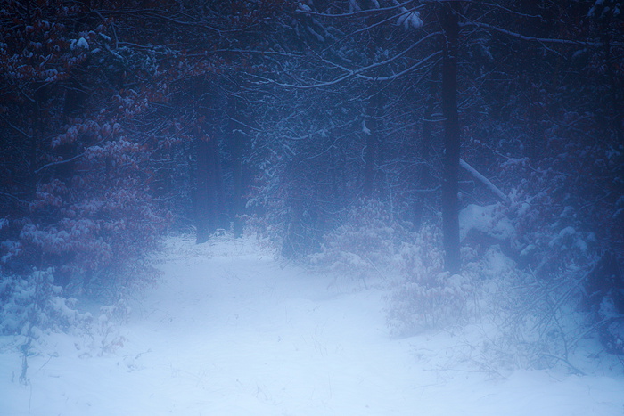 Winterimpression II