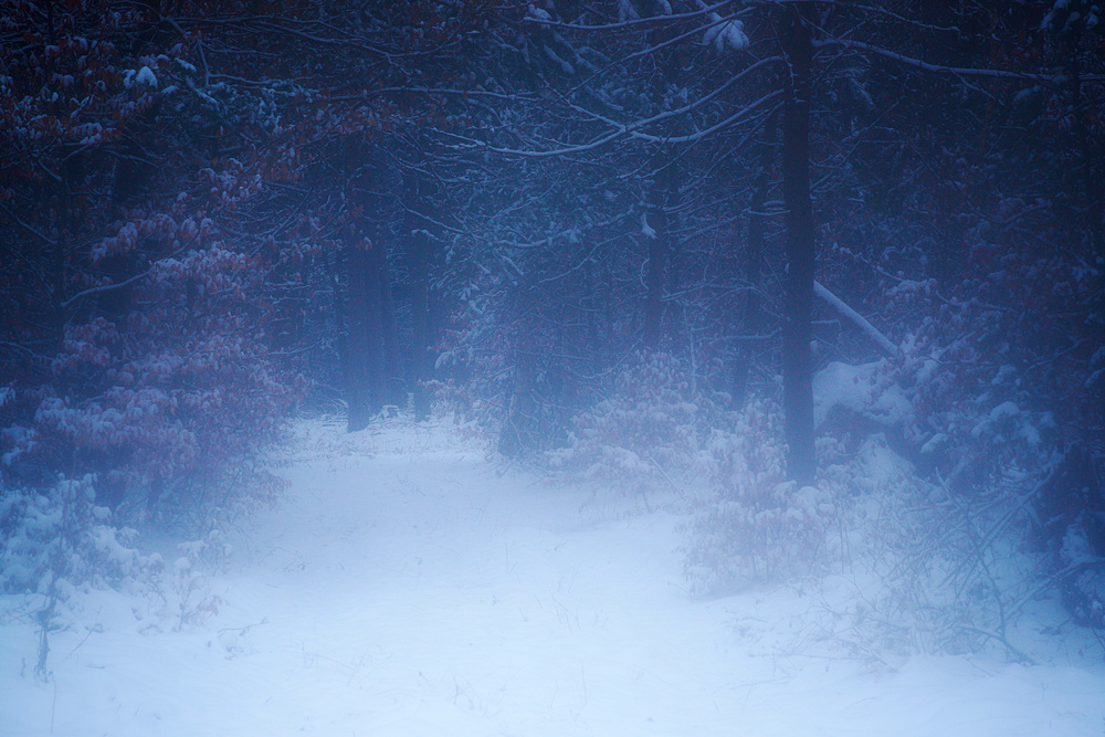 Winterimpression II