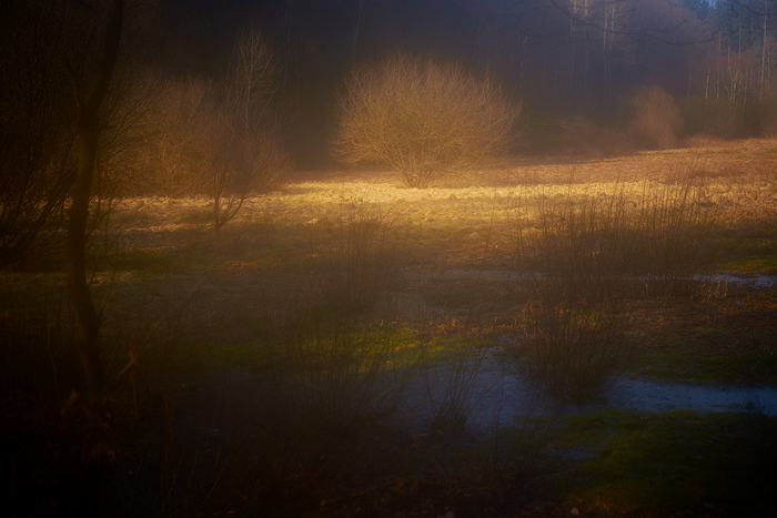 Impression