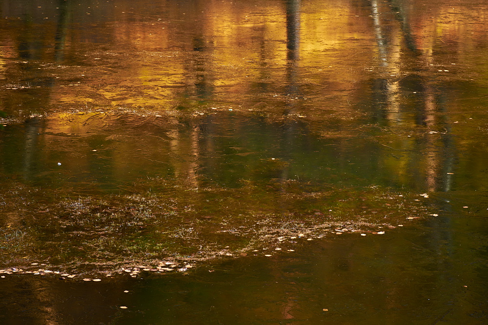 Spiegelung