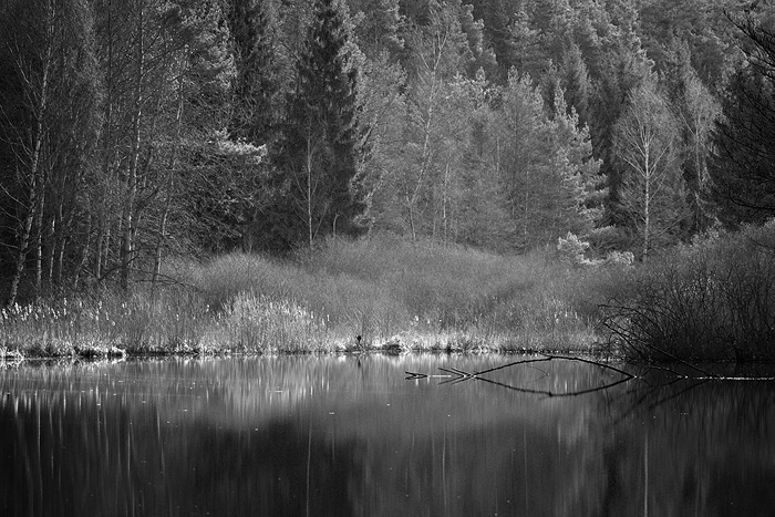 Am Weiher
