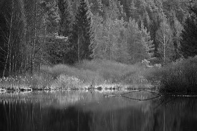Am Weiher