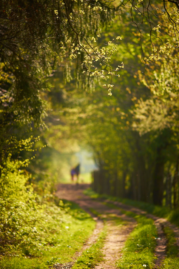 Spaziergang