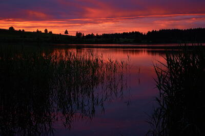 Allgäu - Bannwaldsee