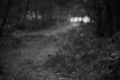 Waldweg