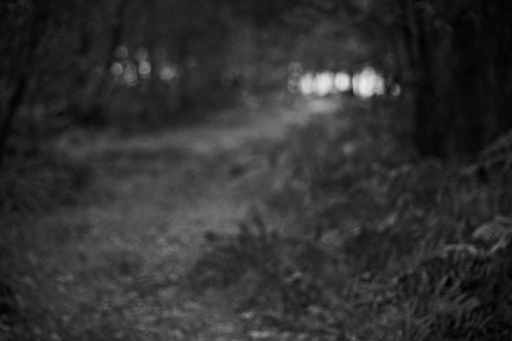 Waldweg