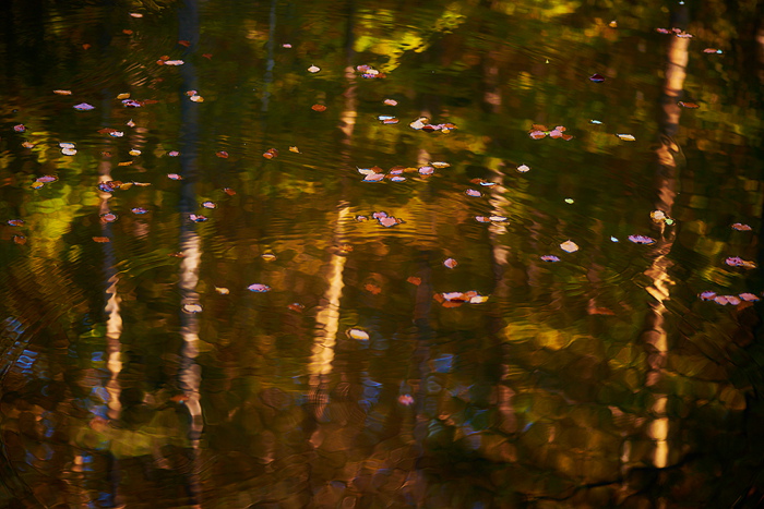 Herbstliche Spiegelung