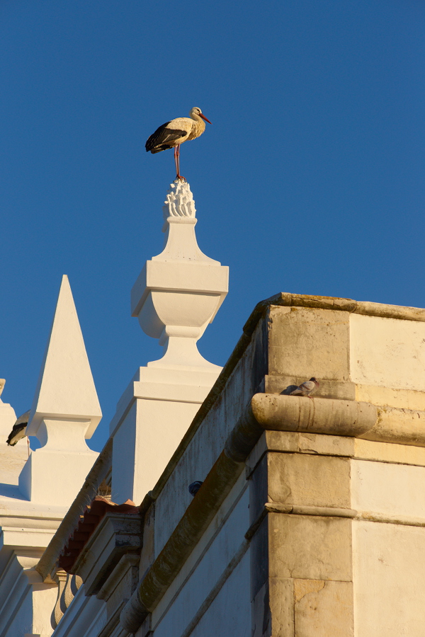 Portugal - Faro II
