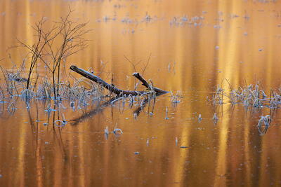 Wintersee