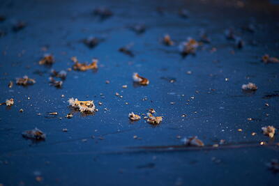 Wintersee II