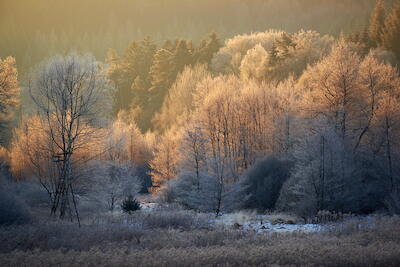Wintersonne