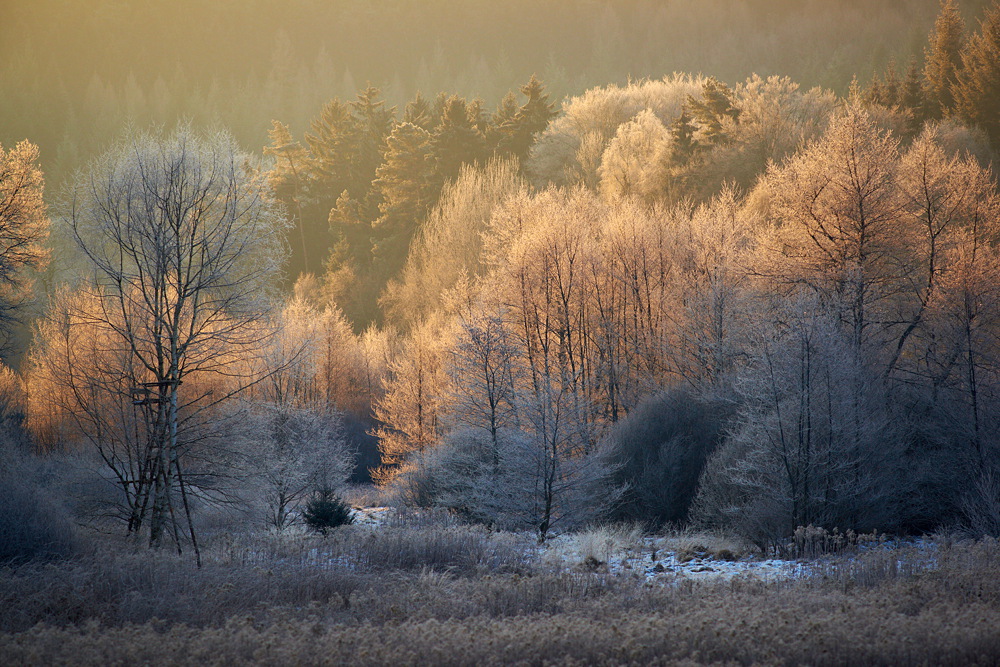 Wintersonne