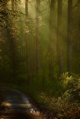 Morgens unterwegs II