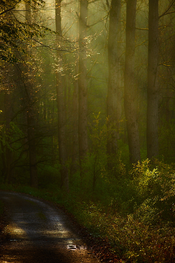 Morgens unterwegs II