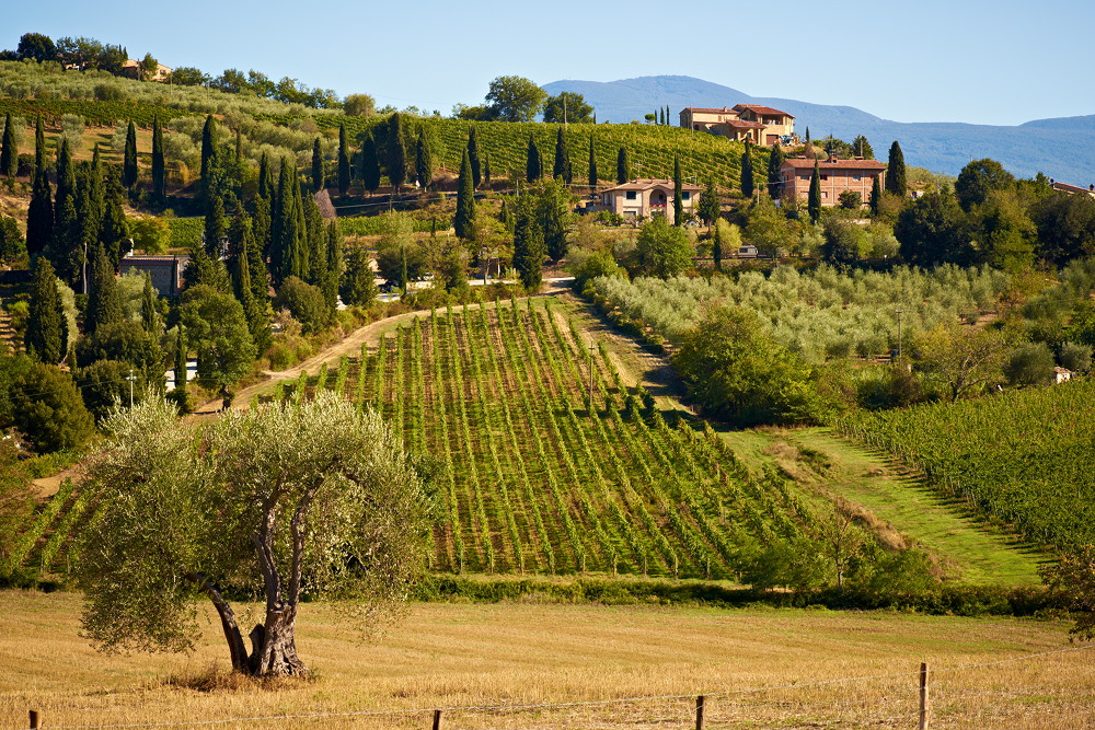 Italien - Castelnuovo dell'Abate III