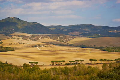 Italien - Val d'Orcia IX