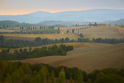 Italien - Val d'Orcia XII