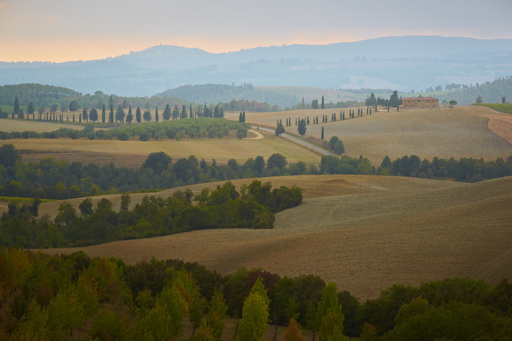 Italien - Val d'Orcia XII