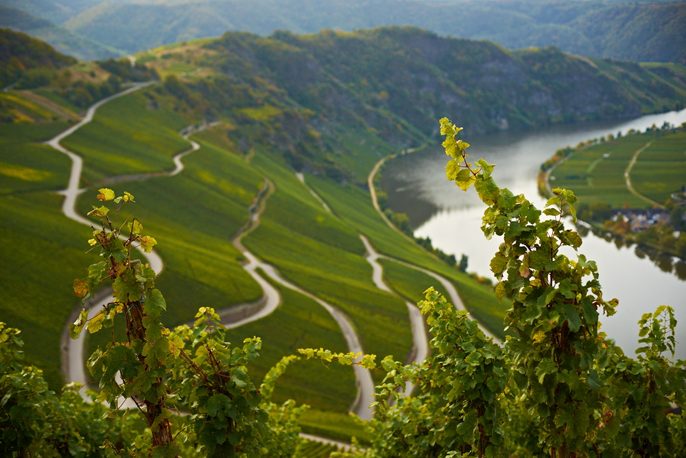 An der Mosel II